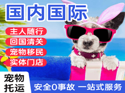 海浪机场快递国际宠物托运 【国